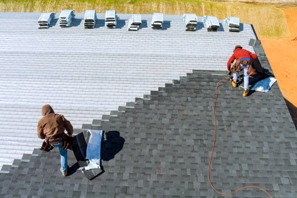 Best Roof Moss and Algae Removal  in Hlside, IL