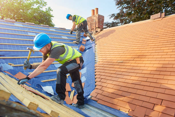 Best Green or Eco-Friendly Roofing Solutions  in Hlside, IL